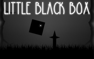 Image Little Black Box